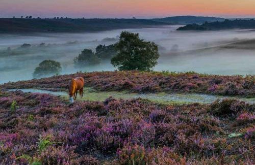 New Forest District Casa | The Lymington Hub Slps 13 hot tub/chef/spa