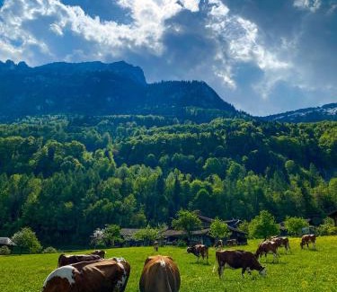 Boenigen Apartamento | The Mad Cow