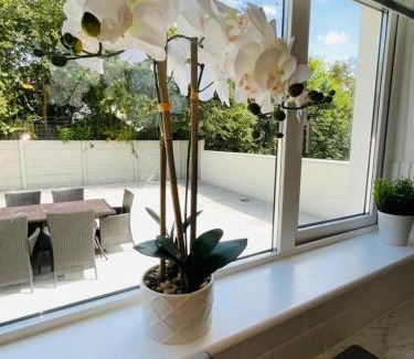 Milltown Casa | The Mid Kerry Escape