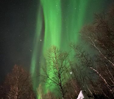 Grovfjord Casa | The Midnight Sun Cabin