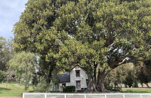 Cayucos Cabaña | 'The Milk House' on a private Harmony ranch