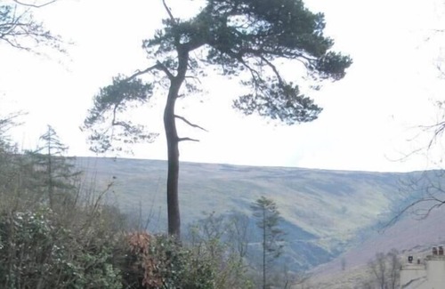 Llanybydder Cabaña | The Mill House at Cwmiar Farm - relaxing holidays
