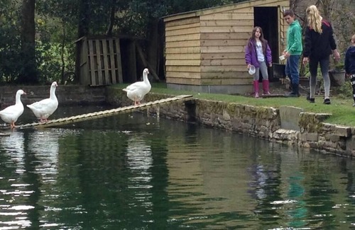 Llanybydder Cabaña | The Mill House at Cwmiar Farm - relaxing holidays