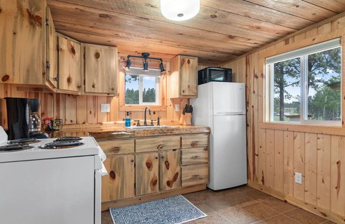 Custer Apartamento | The Monet: Sauna + Firepit + Needle Views