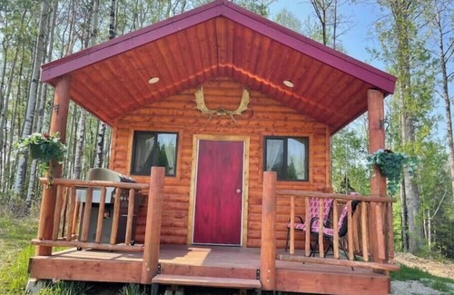 Winfield Cabina | The Moose cabin - Bear Creek Cabins