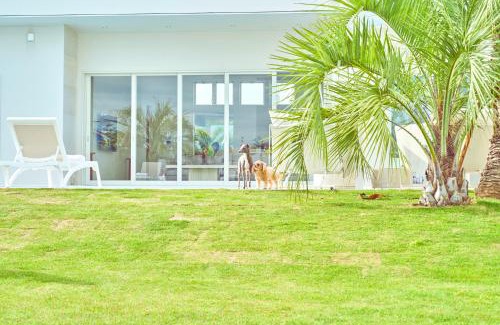Ichinomiya Casa | THE NALU 愛犬と泊まれるvilla 温水プール サウナ BBQ ドッグラン 海まで徒歩5分 千葉 一宮 ザ ナルー