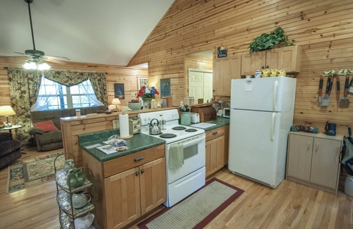 Hayesville Cabina | The Nest Nice 2 habitaciones, 1 baño cabina con vistas a la montaña cerca de Hayesville NC