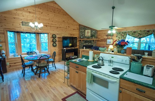 Hayesville Cabina | The Nest