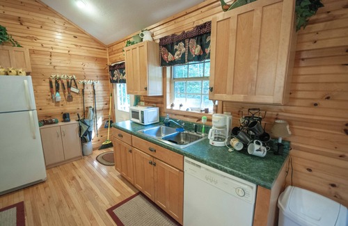 Hayesville Cabina | The Nest