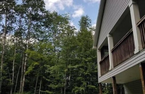Pulaski Casa | The northern woods