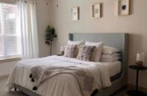 Riverside Terrace Apartamento | The NRG Stadium-Zen Den