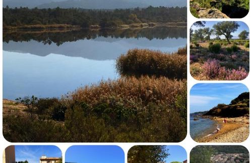 La Garde-Freinet Casa | The Nut House