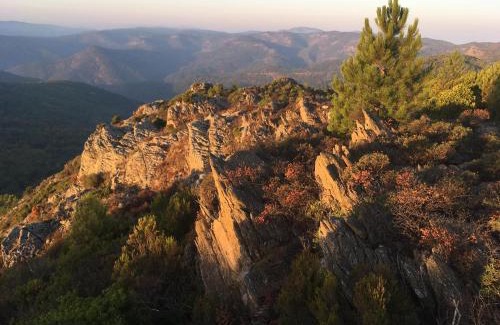 La Garde-Freinet Casa | The Nut House