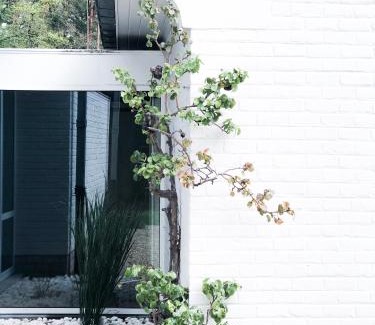Wavre Casa | The Oak