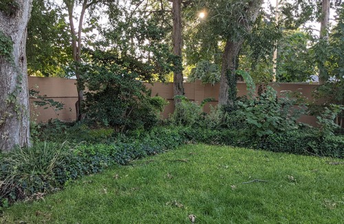 Carlsbad Casa | The Oasis: Guesthouse w/ Lush Shared Yard & Hot Tub- Great Location!