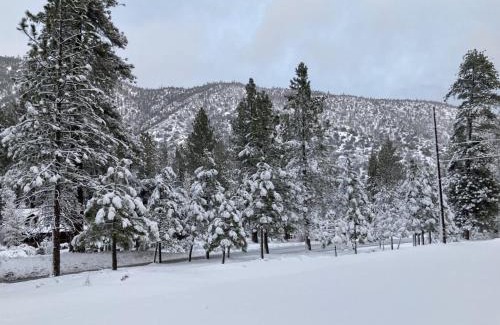 Pine Mountain Club Cama Y Desayuno | The Old Bear BnB