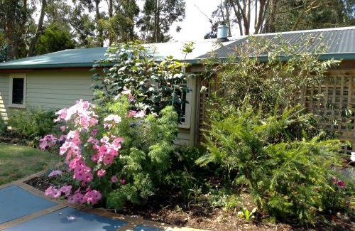 Flowerdale Casa | The Olive House Tasmania