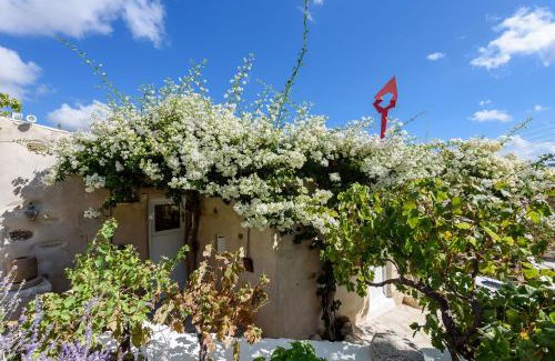 Meteora Casa | THE OLIVE MILL GUEST HOUSE