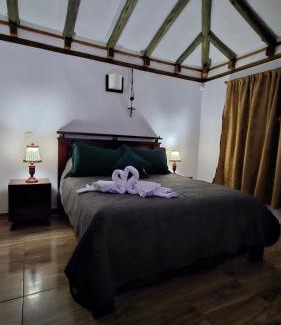 Villa de Leyva Casa | The olive tree