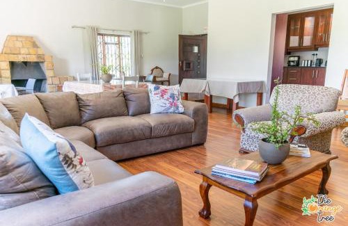 Alkmaar Casa | The Orange Tree Guest House