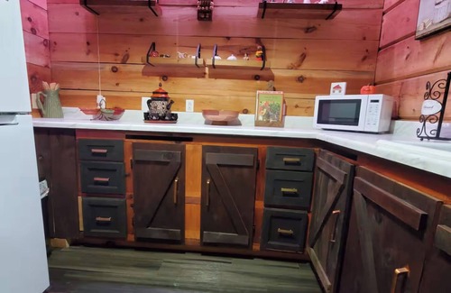 Kodak Cabina | The Outdoor Oasis –You Get $1089 Attraction Tickets per paid day, Dollywood Inc