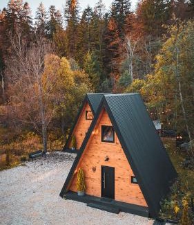 Predeal Chalet De Esquí | The Palo Cabins