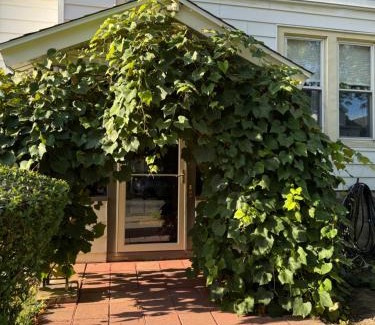 Downtown Buffalo Apartamento | The Paradise House steps from the Heart of Hertel
