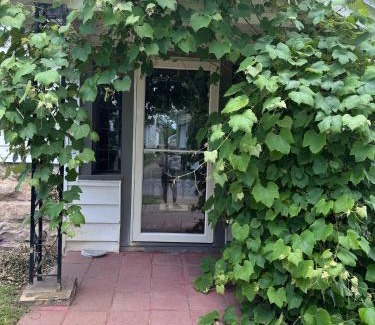 Downtown Buffalo Apartamento | The Paradise House steps from the Heart of Hertel
