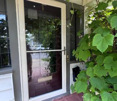 Downtown Buffalo Apartamento | The Paradise House steps from the Heart of Hertel