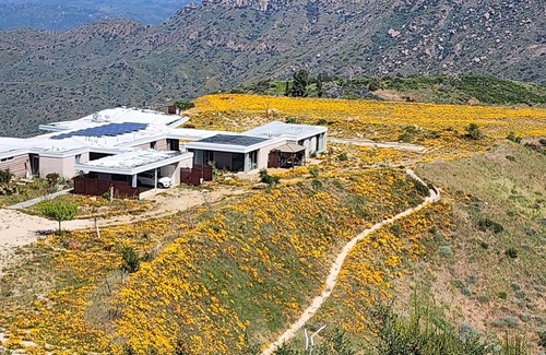 Malibu Casa | "The Peak": A Sleek, Modern Malibu Hills Estate with Room for 12 Guests.