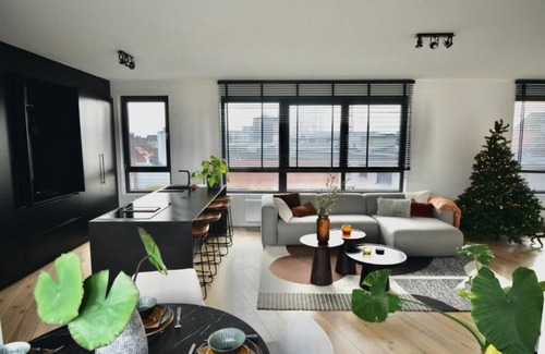 Brederode Condominio | The Penthouse, Oasis of Light and Inspiration