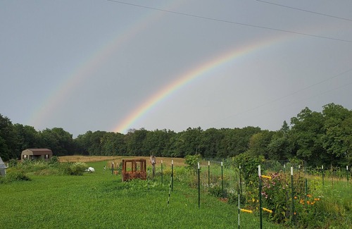 Dunlap Cabina | The Perch at Bird Fork Farm