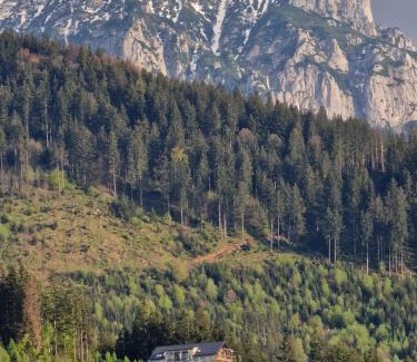 Bran Hotel | The Pines Bucegi Lodge