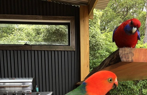 Coongulla Casa | EL LUGAR PARA SER UNAS VACACIONES IMPRESIONANTES EN LAKE GLENMAGGIE