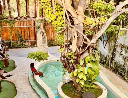 Brisas de Zicatela Hotel | The Pool Treehouse Hotel
