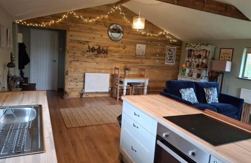 Carmarthen Casa | The Potting Shed And The Garden Shed Self Catering