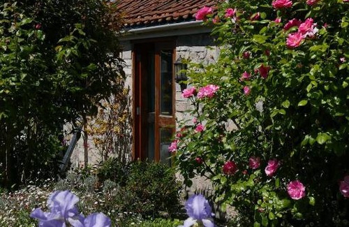 Shapwick Cama Y Desayuno | The Potting Shed, self contained, detached retreat in Shapwick village