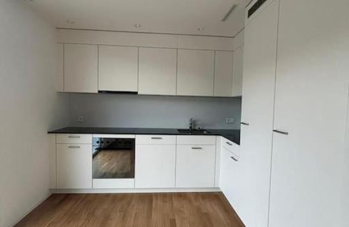 Balsthal Apartamento | The R Apartment Vogelberg, Gym, Balkon, Parking