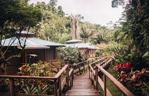 Belmopan Casa | Escapada romántica en la selva de la montaña Maya!