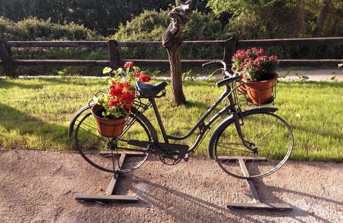 Villaviciosa Casa | La casina del Reborion (VV.1746.AS)