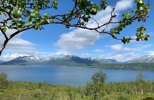Laukeng Casa | The Red Fjordhouse
