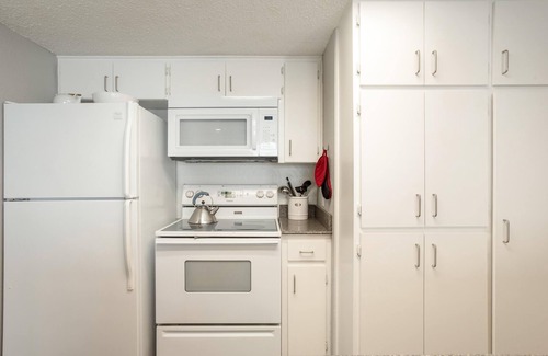 Barton Hills Condominio | The Retro: king bed, desk, deck, 2 blks Zilker Park/Barton Springs, @2 mi DT!