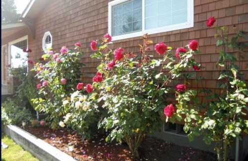 Quinault Casa | The River's Edge