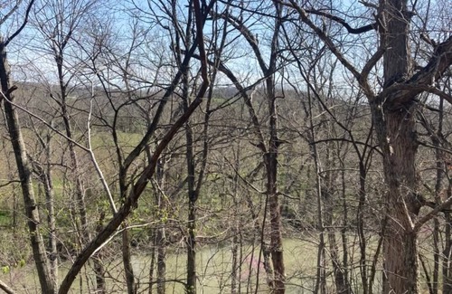Nixa Cabina | The Riverbirch Treehouse-close to town yet steps away from total wilderness