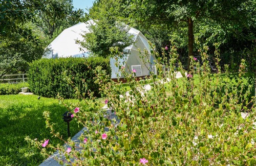 Bastrop Casa | The RiverHouse Pet Friendly Zen River Retreat