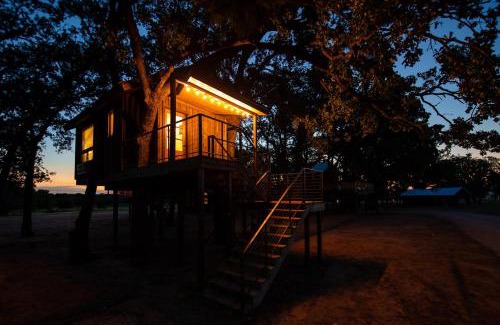 Elm Mott Otro | The Robin Treehouse 15 MIN to Magnolia Baylor