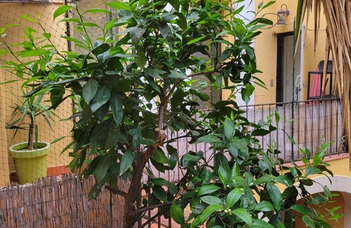 Perpignan Apartamento | The Saint Jacques patio
