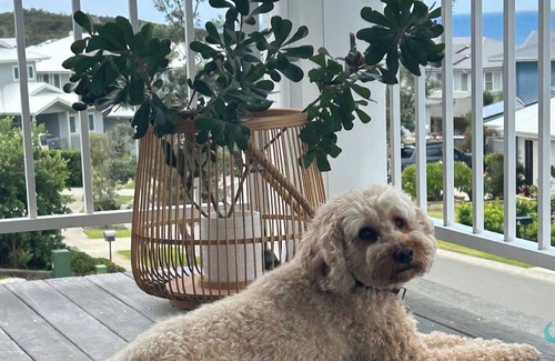 Catherine Hill Bay Casa | Illaroo en Catherine Hill Bay
