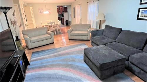 Village Green Casa | The Sea Turtle