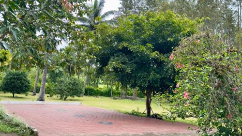 Kushalnagar Casa | The Shades Holiday Homes